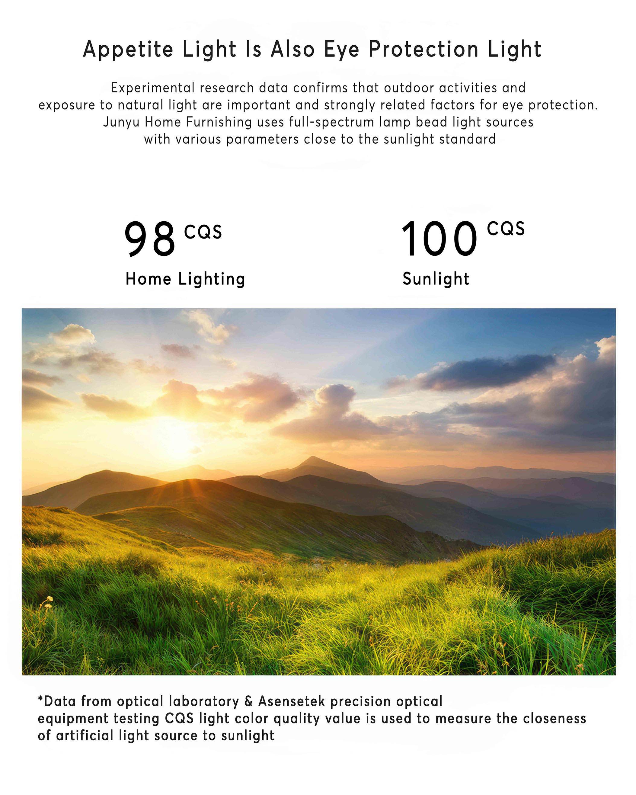 Caelum Walnut Minimalist Pendant Light | French Medieval Charm For Homes